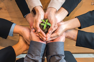 الأسرة المسؤولة عن الأخوية